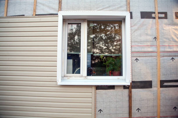 Best Aluminum Siding Installation  in Inglewood, CA