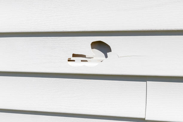 Best Custom Trim and Detailing for Siding  in Inglewood, CA